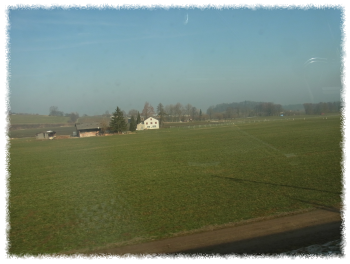 RIMG0138_web RIMG0138_web